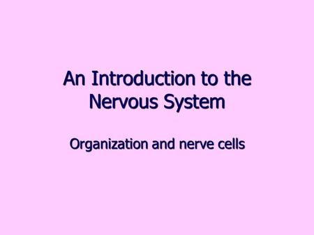 An Introduction to the Nervous System