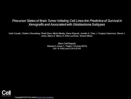 Precursor States of Brain Tumor Initiating Cell Lines Are Predictive of Survival in Xenografts and Associated with Glioblastoma Subtypes Carlo Cusulin,