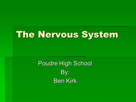 The Nervous System Poudre High School By: Ben Kirk.