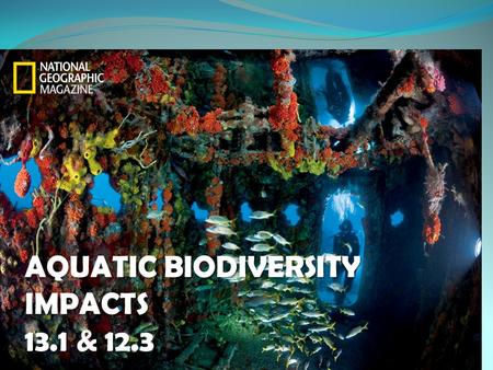 AQUATIC BIODIVERSITY IMPACTS 13.1 & 12.3. How much do we know? We have explored about 5% of the earth’s global ocean and the world’s interconnected oceans.