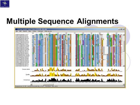 Multiple Sequence Alignments. Multiple Alignments Generating multiple alignments  Web servers Analyzing a multiple alignment  what makes a ‘good’ multiple.