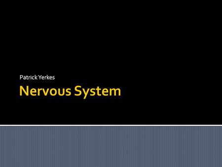 Patrick Yerkes Nervous System.