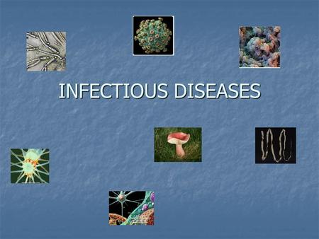 INFECTIOUS DISEASES. PATHOGENS What is a pathogen? A microorganism capable of causing a disease in any susceptible host A microorganism capable of causing.