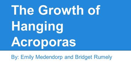 The Growth of Hanging Acroporas By: Emily Medendorp and Bridget Rumely.