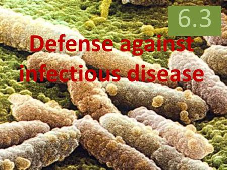 Defense against infectious disease 6.3. WHAT’S THIS….?! ANYBODY KNOW….??