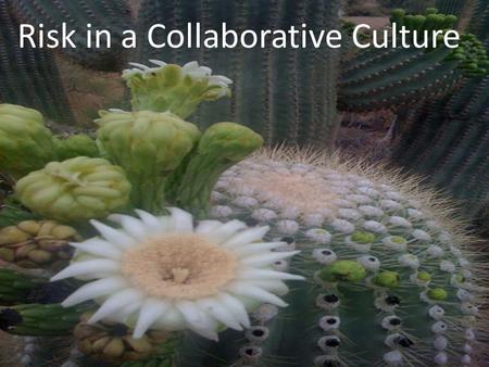 Risk in a Collaborative Culture.  Why risk matters  Risk and Conscious Competence  Mitigating risk.