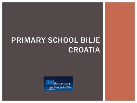 PRIMARY SCHOOL BILJE CROATIA. 1. SEX 2. DATE OF BIRTH (MONTHS 2000.)