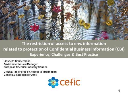 The restriction of access to env. information related to protection of Confidential Business Information (CBI) Experience, Challenges & Best Practice 1.