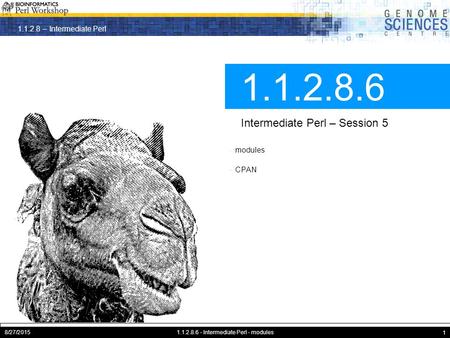 1.1.2.8 – Intermediate Perl 8/27/20151.1.2.8.6 - Intermediate Perl - modules 1 1.1.2.8.6 Intermediate Perl – Session 5 · modules · CPAN.