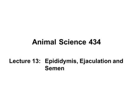 Animal Science 434 Lecture 13:Epididymis, Ejaculation and Semen.