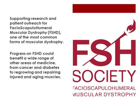 Supporting research and patient outreach for FacioScapuloHumeral Muscular Dystrophy (FSHD), one of the most common forms of muscular dystrophy. Progress.