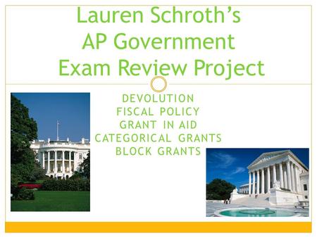 Lauren Schroth’s AP Government Exam Review Project
