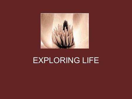 EXPLORING LIFE. What is SCIENCE? Derived from the Latin verb meaning “to know” Science is… …a process by which we know and understand how the natural.