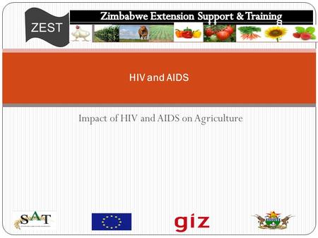 ZEST Impact of HIV and AIDS on Agriculture HIV and AIDS.
