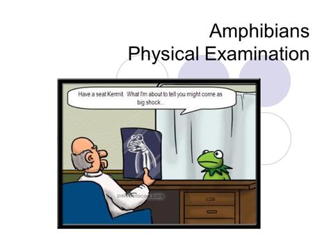 Amphibians Physical Examination