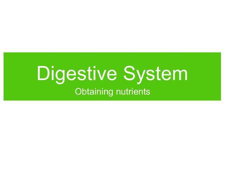 Digestive System Obtaining nutrients. Energy Body cells need energy to run cell processes. Animals obtain chemical energy from food. Energy is derived.