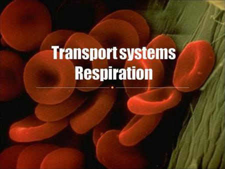 what respiration is 1) Pathway of blood Pathway of blood 2) Cardiac cycle 3) Principles governing blood circulation 4) Cardiovascular disease.