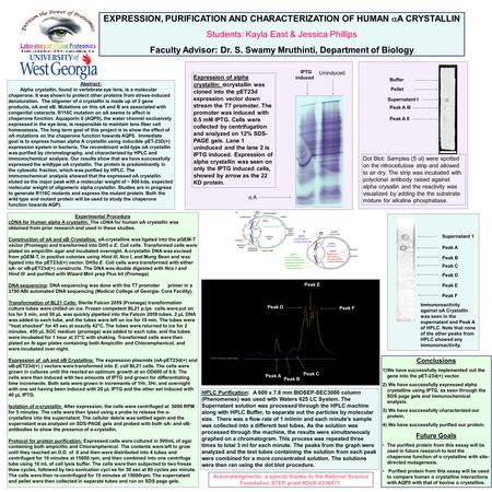 EXPRESSION, PURIFICATION AND CHARACTERIZATION OF HUMAN  A CRYSTALLIN Students: Kayla East & Jessica Phillips Faculty Advisor: Dr. S. Swamy Mruthinti,