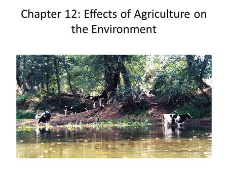 Chapter 12: Effects of Agriculture on the Environment