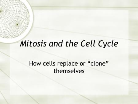 Mitosis and the Cell Cycle How cells replace or “clone” themselves.