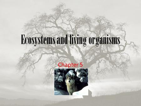 Ecosystems and living organisms