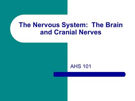 The Nervous System: The Brain and Cranial Nerves