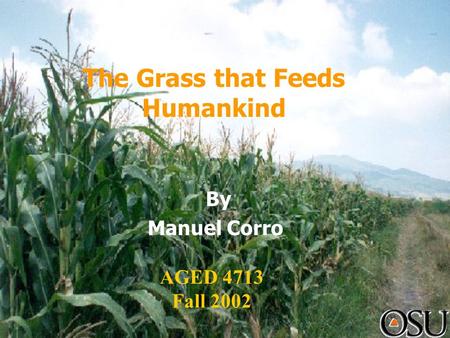 The Grass that Feeds Humankind By Manuel Corro AGED 4713 Fall 2002.