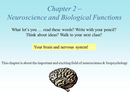 Chapter 2 – Neuroscience and Biological Functions