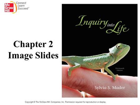 Copyright © The McGraw-Hill Companies, Inc. Permission required for reproduction or display. Chapter 2 Image Slides.