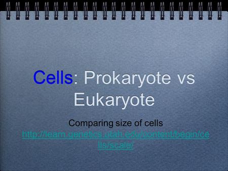 Cells: Prokaryote vs Eukaryote Comparing size of cells  lls/scale/