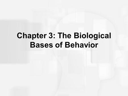 Chapter 3: The Biological Bases of Behavior. Communication in the Nervous System Two basic forms of communication –Chemical –Electrical.