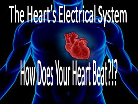 Your heart is a muscle that works continuously like a pump Each beat of your heart is set in motion by an electrical signal from within your heart muscle.