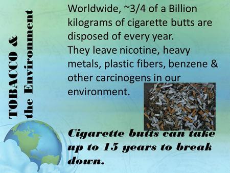 TOBACCO & the Environment Worldwide, ~3/4 of a Billion kilograms of cigarette butts are disposed of every year. They leave nicotine, heavy metals, plastic.