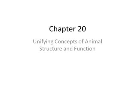 Unifying Concepts of Animal Structure and Function