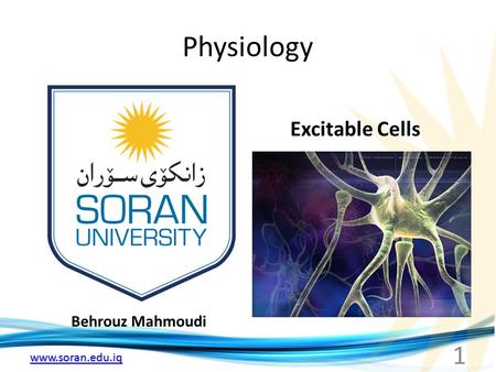 Www.soran.edu.iq Physiology Behrouz Mahmoudi Excitable Cells 1.