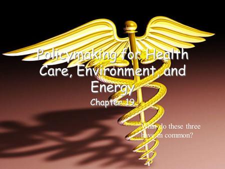 Policymaking for Health Care, Environment, and Energy Chapter 19 What do these three have in common?