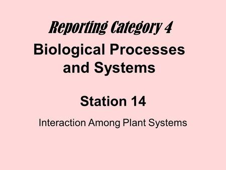 Interaction Among Plant Systems