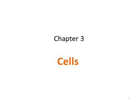 Chapter 3 Cells.
