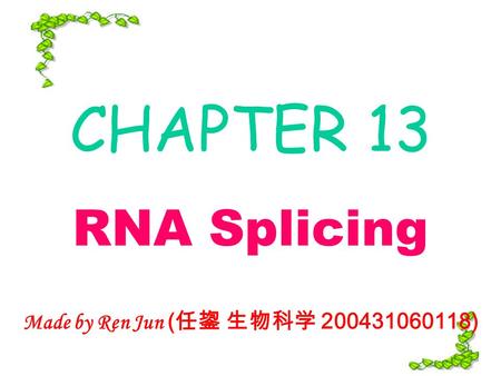 CHAPTER 13 RNA Splicing Made by Ren Jun ( 任鋆 生物科学 200431060118)