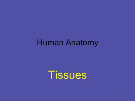 Human Anatomy Tissues.