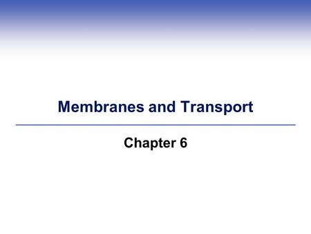 Membranes and Transport Chapter 6. 6.1 Membrane Structure  Biological membranes contain both lipid and protein molecules  Fluid mosaic model explains.