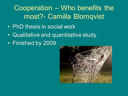 Cooperation – Who benefits the most?- Camilla Blomqvist PhD thesis in social work Qualitative and quantitative study Finished by 2009.