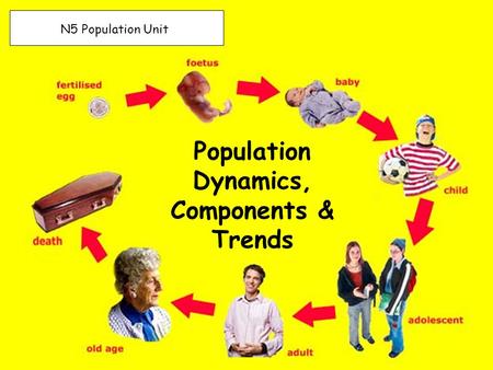 Population Dynamics, Components & Trends N5 Population Unit.