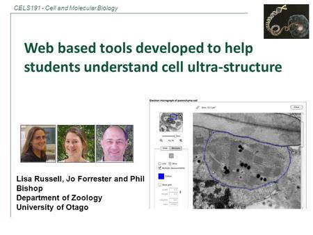 CELS191 - Cell and Molecular Biology Web based tools developed to help students understand cell ultra-structure Frog cell at Anaphase Lisa Russell, Jo.