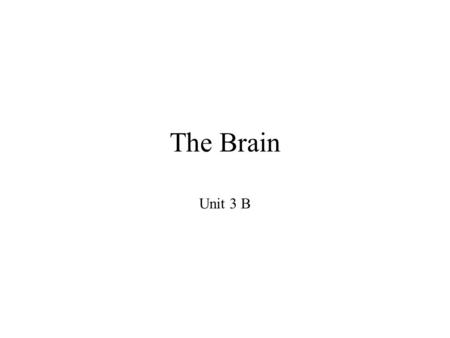 The Brain Unit 3 B.