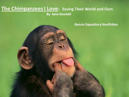 The Chimpanzees I Love: Saving Their World and Ours