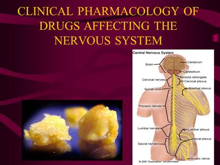 CLINICAL PHARMACOLOGY OF DRUGS AFFECTING THE NERVOUS SYSTEM
