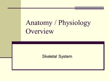 Anatomy / Physiology Overview