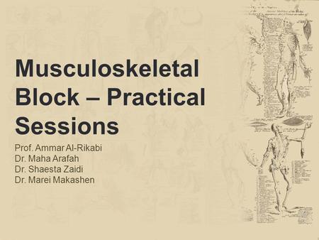 Musculoskeletal Block – Practical Sessions Prof. Ammar Al-Rikabi Dr. Maha Arafah Dr. Shaesta Zaidi Dr. Marei Makashen.