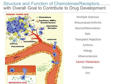 Structure and Function of Chemokines/Receptors